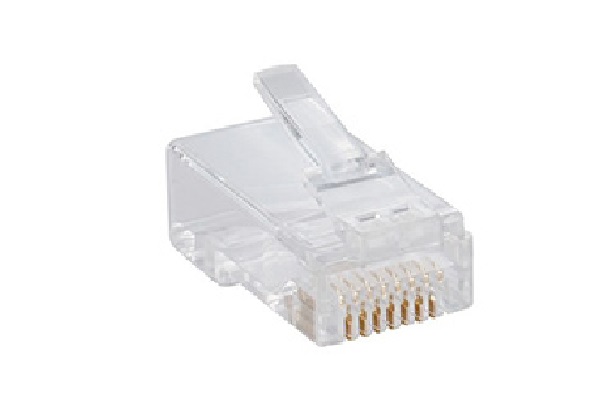 NPG-C61TRA501-100 ///Cat6 UTP (1Pcs) Modular Plugs - Transparent Colour with Engraved D-link Logo  (100 Pcs/Bag)