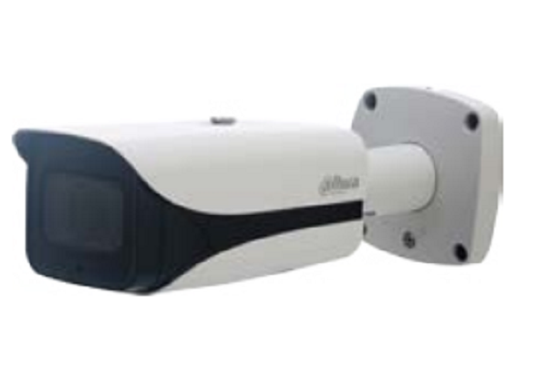DH-IPC-HFW5431E-ZE