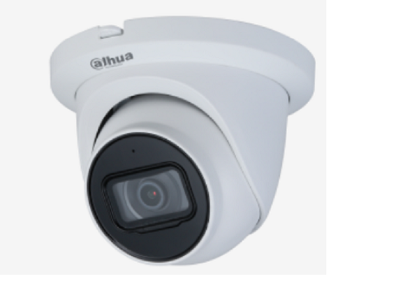 DH-IPC-HDW2431T-A///4MP WDR IR Eyeball Network Camera