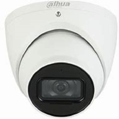 DH-IPC-HDW5241TM-AS///2MP WDR IR Eyeball WizMind Network Cam